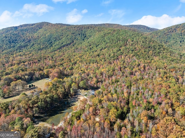 view of mountain feature