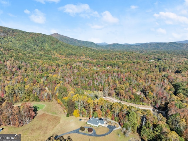 birds eye view of property with a mountain view