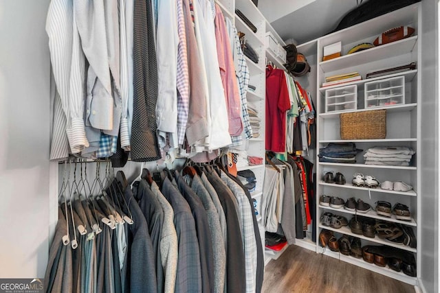 walk in closet with hardwood / wood-style floors