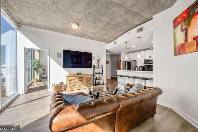 living room with light wood-type flooring and sink