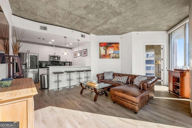 living room with hardwood / wood-style floors