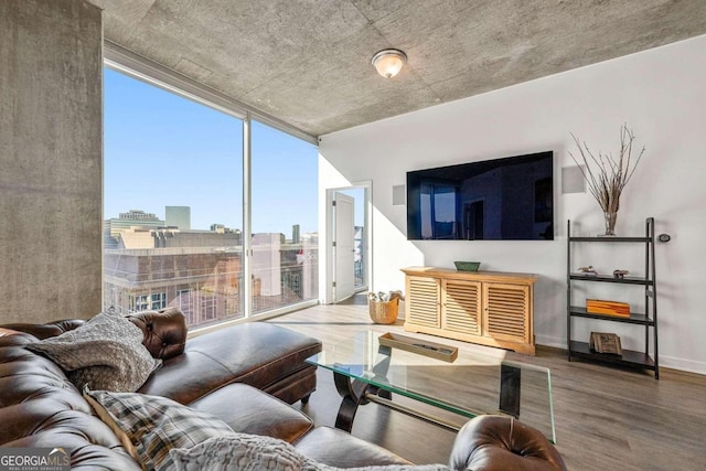 living room with wood-type flooring