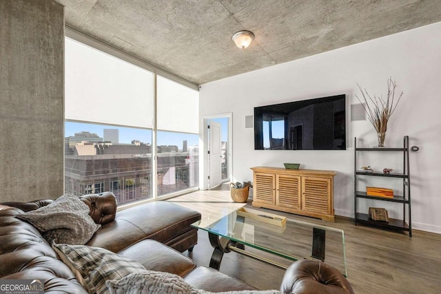 living room featuring hardwood / wood-style floors