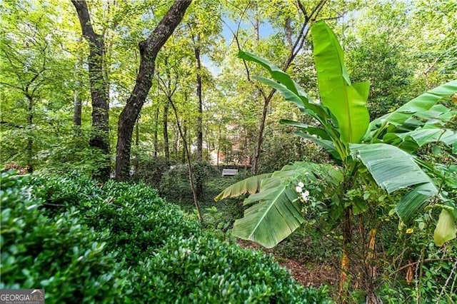 view of nature