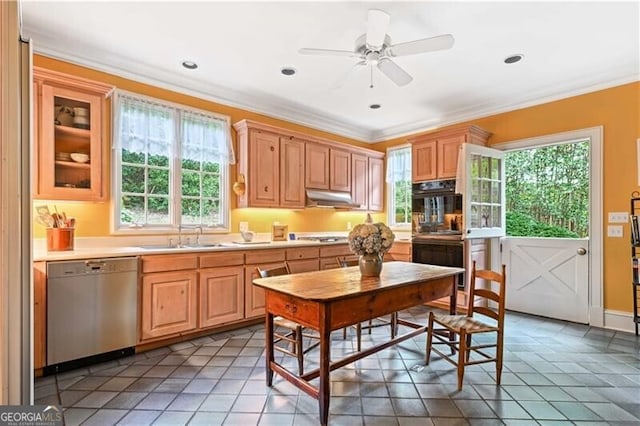 kitchen with dishwasher, sink, ceiling fan, ornamental molding, and light brown cabinetry