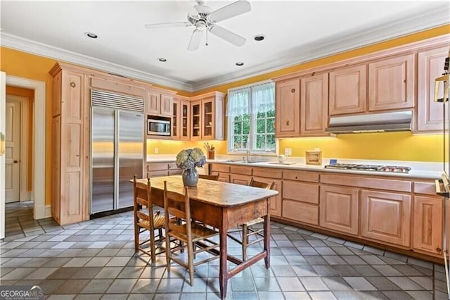 kitchen with built in appliances, ceiling fan, crown molding, and sink