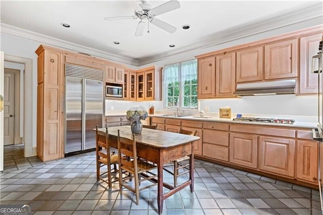 kitchen featuring built in appliances, ceiling fan, ornamental molding, and sink