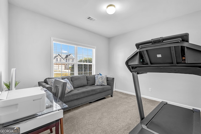 exercise area featuring carpet floors