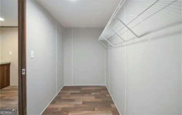 spacious closet with dark hardwood / wood-style flooring