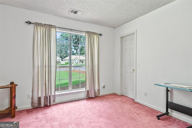 misc room featuring carpet and a textured ceiling