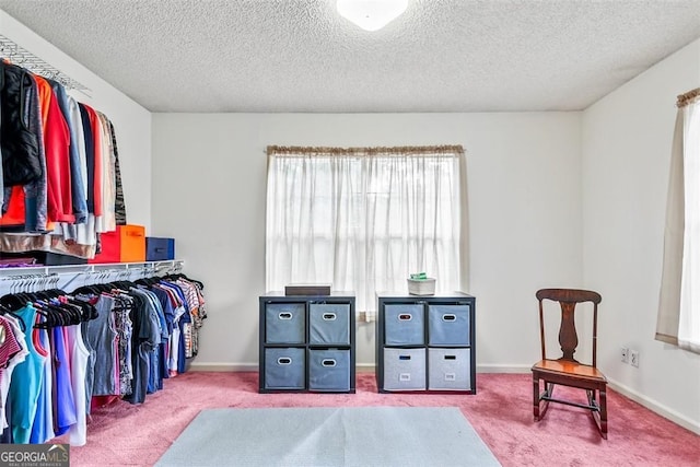 walk in closet featuring light carpet