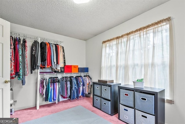 spacious closet with light colored carpet