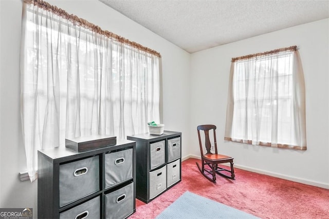 sitting room featuring a textured ceiling and light colored carpet