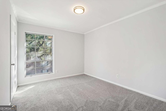 spare room featuring carpet flooring and ornamental molding