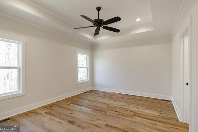 spare room with light hardwood / wood-style flooring, plenty of natural light, and a raised ceiling