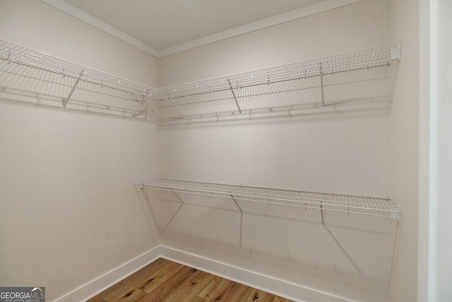 walk in closet with wood-type flooring