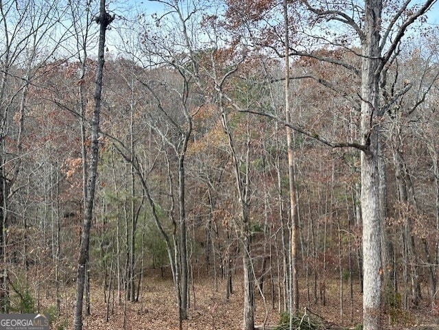 view of local wilderness