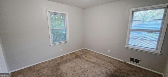 spare room featuring carpet flooring and plenty of natural light