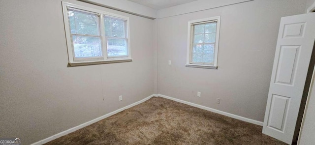 empty room featuring carpet flooring and a wealth of natural light