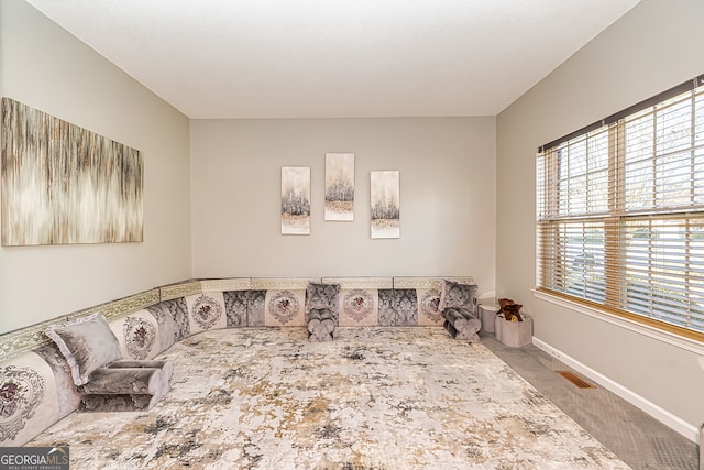 sitting room with carpet