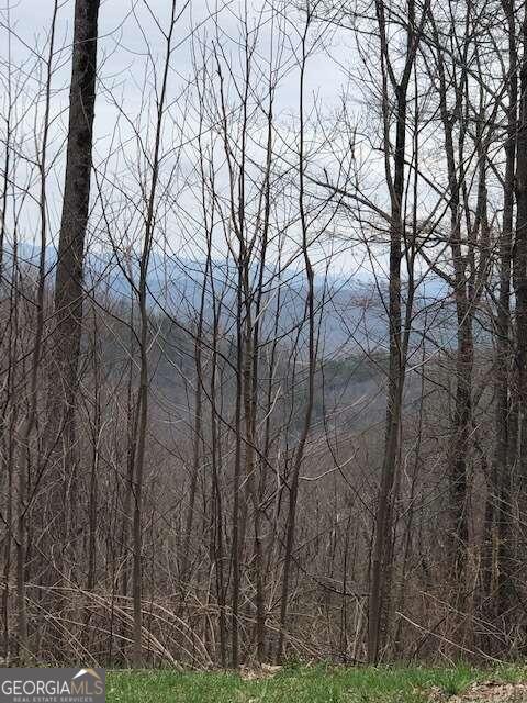 Listing photo 2 for LT281 Andes Rdg, Ellijay GA 30536