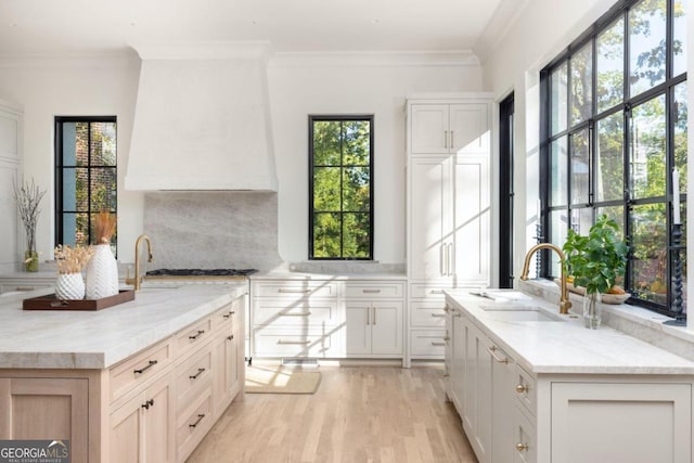 kitchen featuring ornamental molding, light stone countertops, sink, and white cabinets