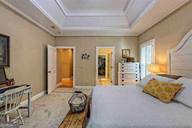 carpeted bedroom featuring a walk in closet, ornamental molding, and a raised ceiling