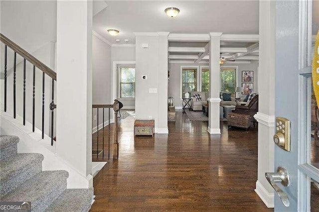 entryway with dark hardwood / wood-style flooring, ceiling fan, coffered ceiling, beamed ceiling, and ornamental molding