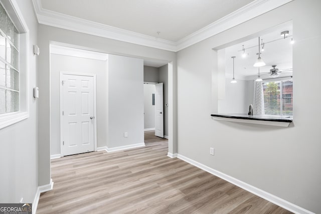 interior space featuring crown molding, hardwood / wood-style floors, and sink