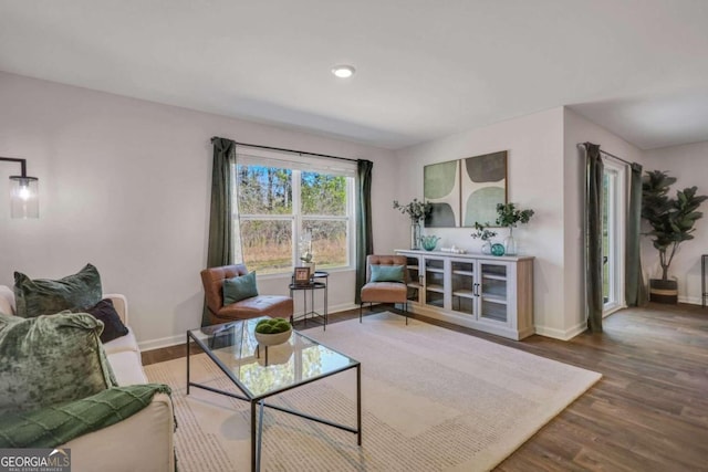 living room featuring hardwood / wood-style floors