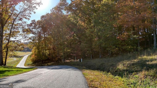 LOT161 Old Owen Dr Unit 161, Blairsville GA, 30512 land for sale