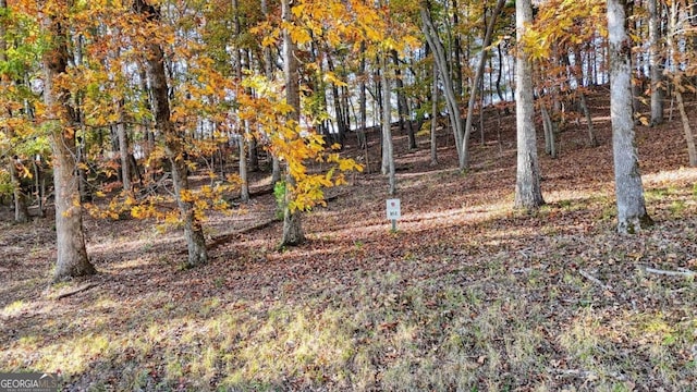 Listing photo 3 for LOT161 Old Owen Dr Unit 161, Blairsville GA 30512