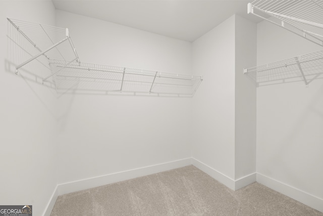 spacious closet featuring carpet flooring