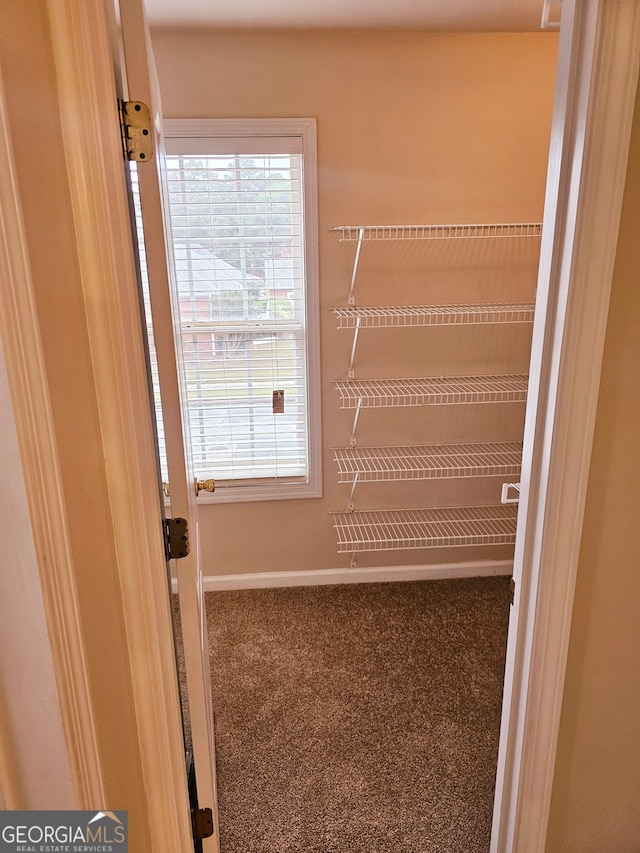 walk in closet featuring carpet