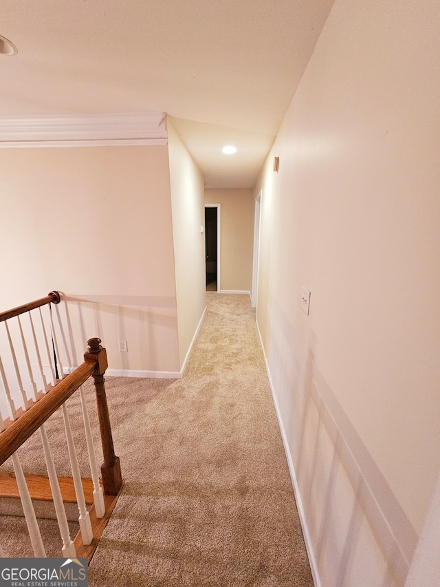 hall featuring ornamental molding and carpet