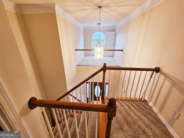 stairs featuring ornamental molding, a chandelier, and carpet floors