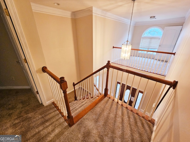 stairway with ornamental molding and carpet