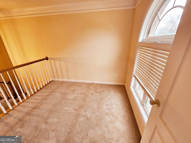 unfurnished room with crown molding and carpet