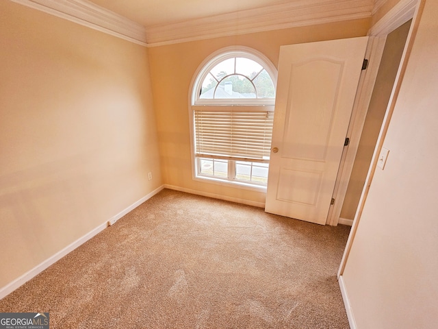 carpeted spare room featuring crown molding