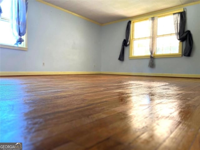 unfurnished room with a healthy amount of sunlight and wood-type flooring