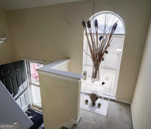 interior details with carpet floors