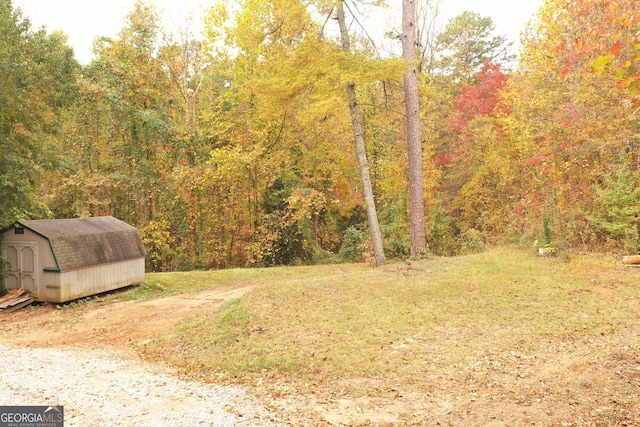 view of yard with a storage unit