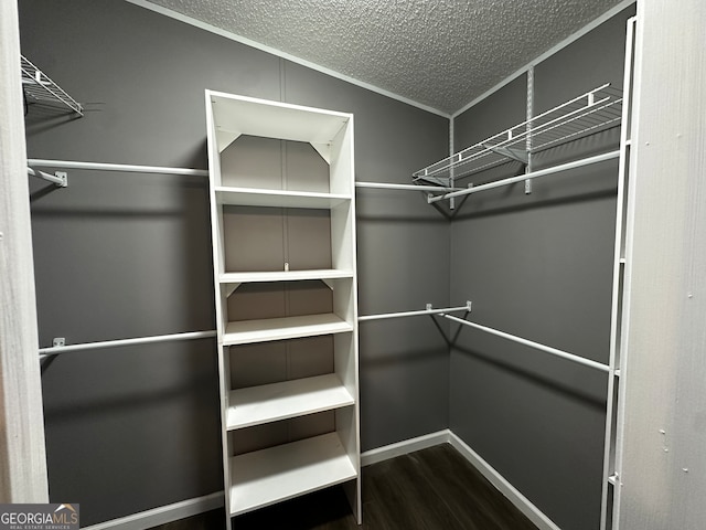 walk in closet with vaulted ceiling and dark hardwood / wood-style flooring