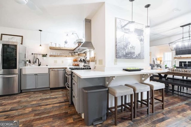 kitchen with gray cabinetry, sink, stainless steel appliances, dark wood-type flooring, and ventilation hood