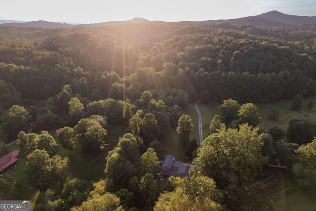 aerial view with a mountain view