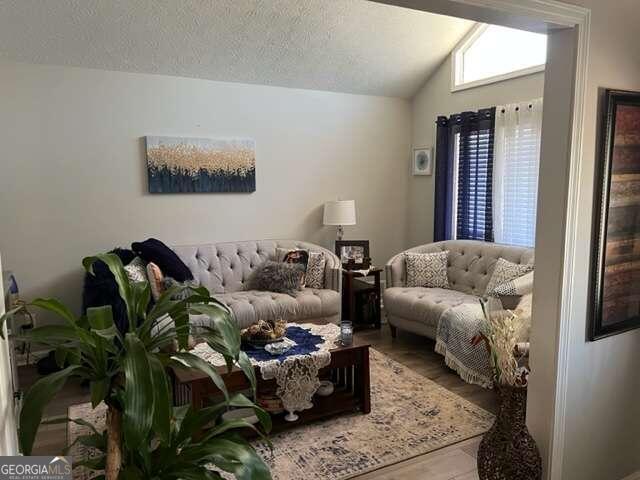 living room with lofted ceiling, a textured ceiling, and wood-type flooring