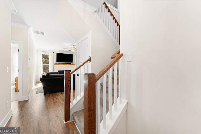 staircase with wood-type flooring and ceiling fan