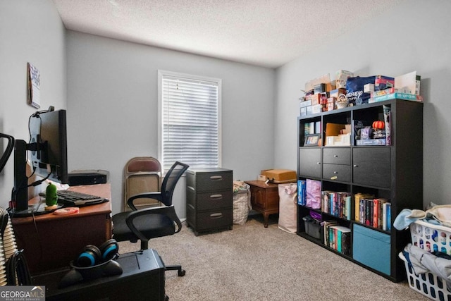 office space featuring a textured ceiling and light colored carpet