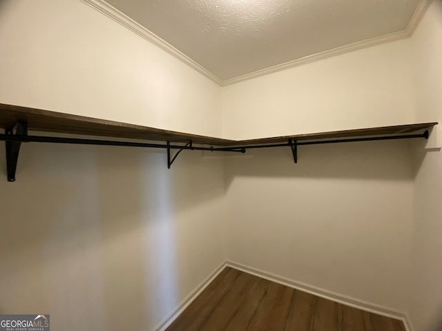 spacious closet featuring dark wood-type flooring