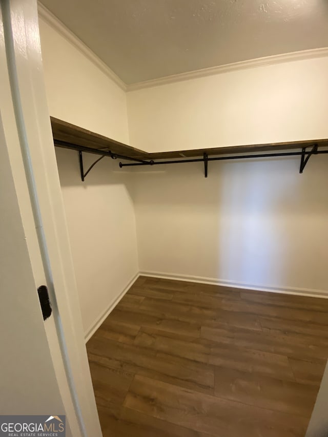 spacious closet with dark hardwood / wood-style floors